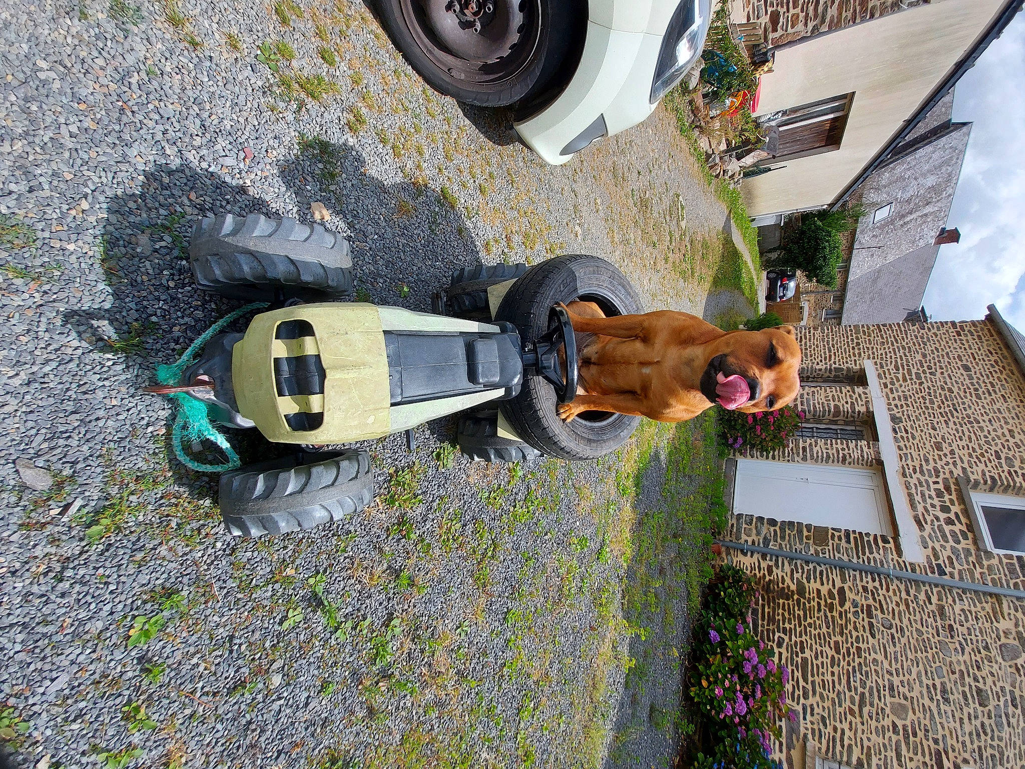 Saxo participe au concours pour gagner de l'argent avec cette photo : auto_part, automotive_design, automotive_exterior, automotive_lighting, automotive_parking_light, automotive_tire, building, car, facade, fender, flooring, house, motor_vehicle, plant, sunglasses, tire, vehicle, vehicle_door, wheel, window