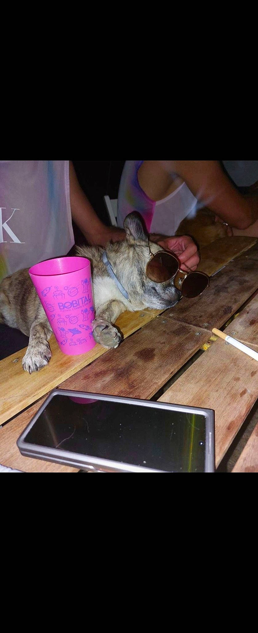 Polochon participe au concours pour gagner de l'argent avec cette photo : cat, comfort_food, domestic_short_haired_cat, fawn, felidae, flooring, fur, hardwood, metal, nail, plywood, recipe, soil, table, tablet_computer, tableware, tail, whiskers, wood, wood_stain