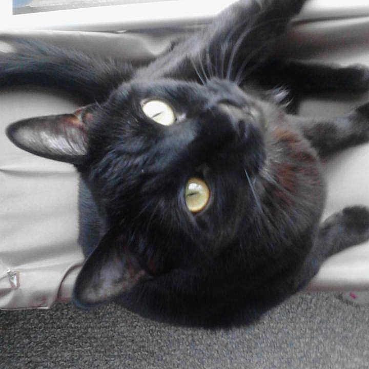 Onyx Auset is registered to the contest to win money with this photo: