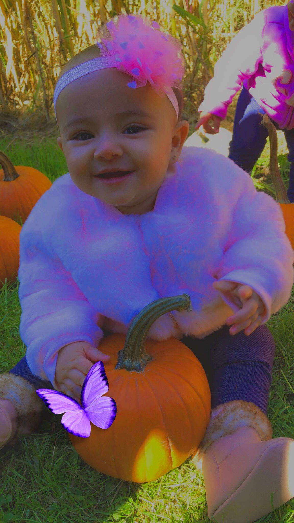 Elianna is registered to the contest to win money with this photo: baby, calabaza, child, flower, grass, hair_accessory, happy, headwear, joy, person, pink, plant, play, pumpkin, purple, smile, toddler, violet