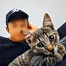 cat, kitten, tabby, person, cap, blurred_face, couch, indoor, relaxing, close_up, pet, animal, feline, curious, young_cat, casual, comfort, black_clothing, portrait, home