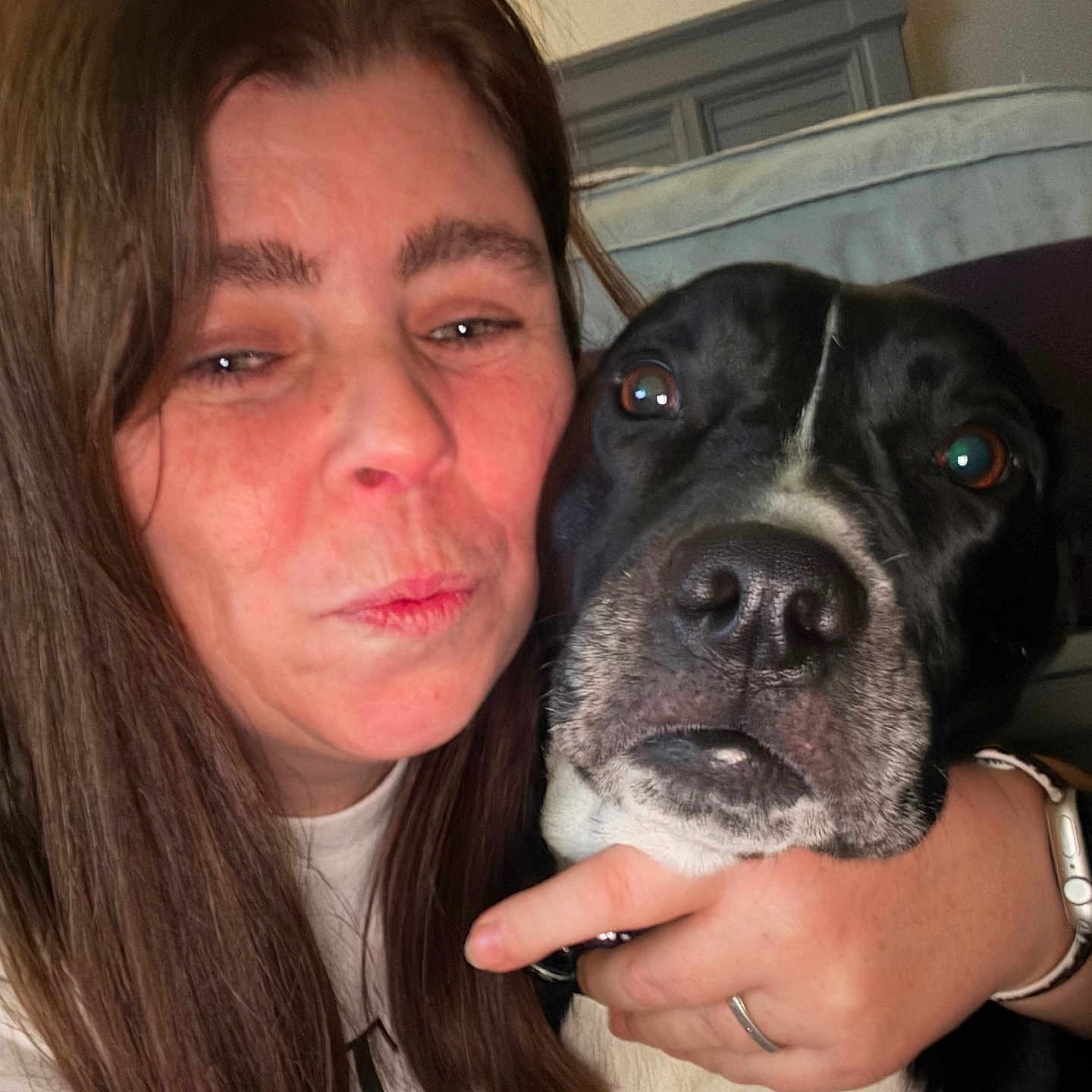 Penny joined the competition — help win amazing prizes! accessories, adult, animal, bostonbull, bulldog, canine, dog, face, female, glasses, head, hound, indoors, jewelry, person, pet, photography, portrait, puppy, woman