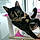 Minette