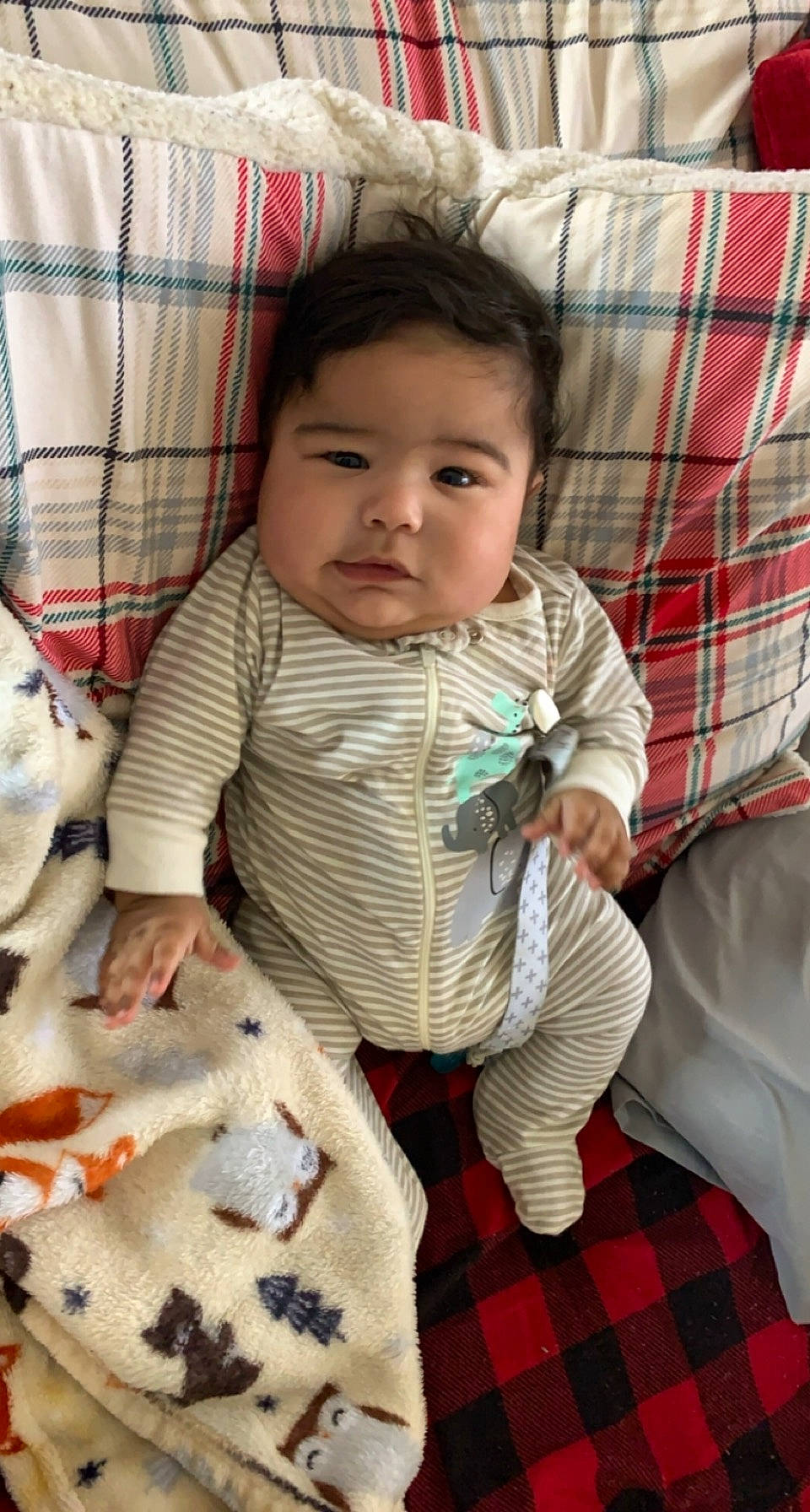 Jayven joined the competition — help win amazing prizes! baby, baby_toddler_clothing, carmine, cheek, child, comfort, design, facial_expression, green, linens, mammal, pattern, person, plaid, sitting, skin, sleeve, tartan, textile, toddler