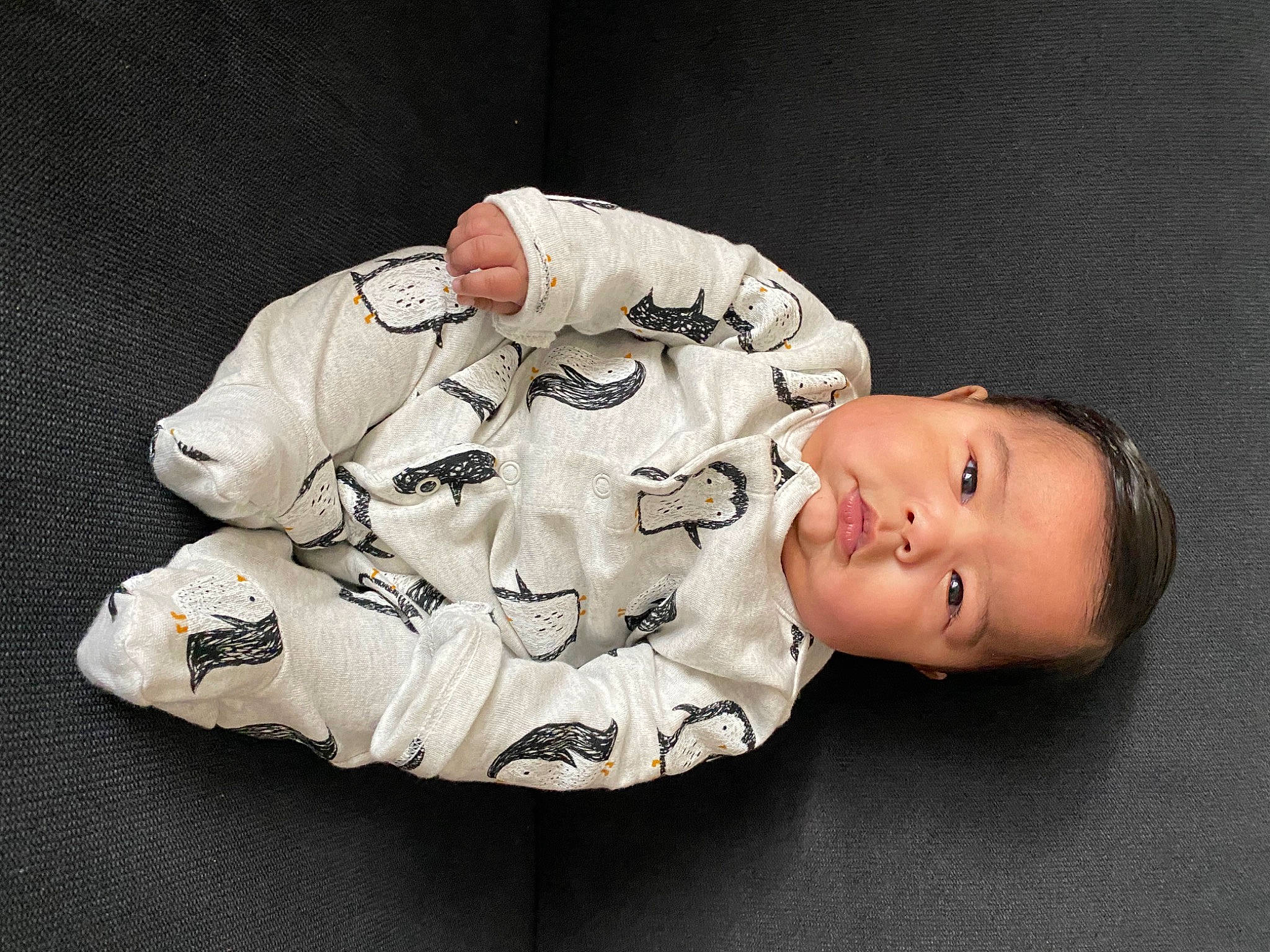 Jayven is registered to the contest to win money with this photo: baby, baby_products, baby_toddler_clothing, carmine, cheek, child, comfort, flash_photography, fur, head, headgear, human_body, linens, pattern, person, portrait_photography, sitting, sleeve, toddler