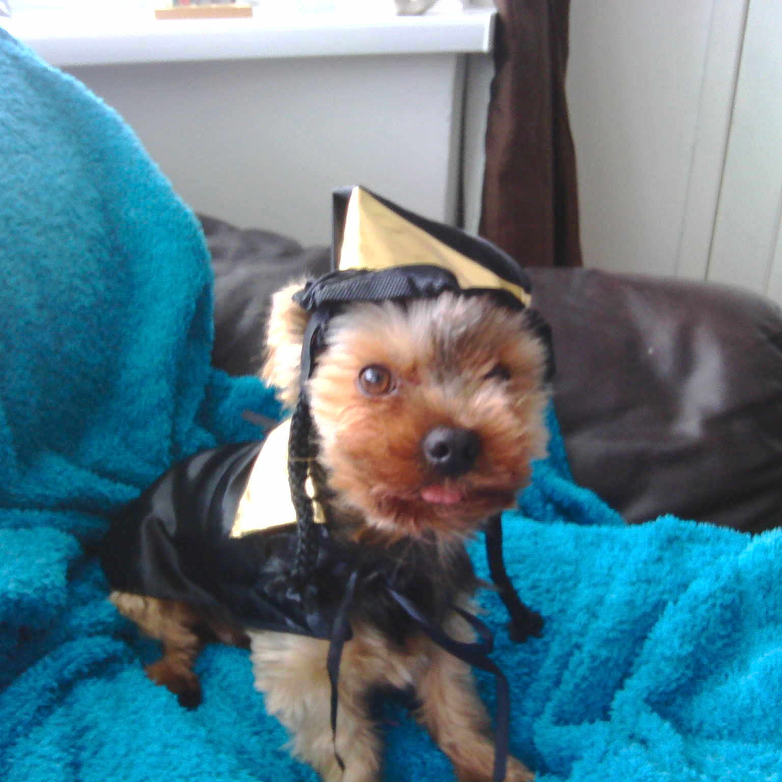 Teddy is registered to the contest to win money with this photo: