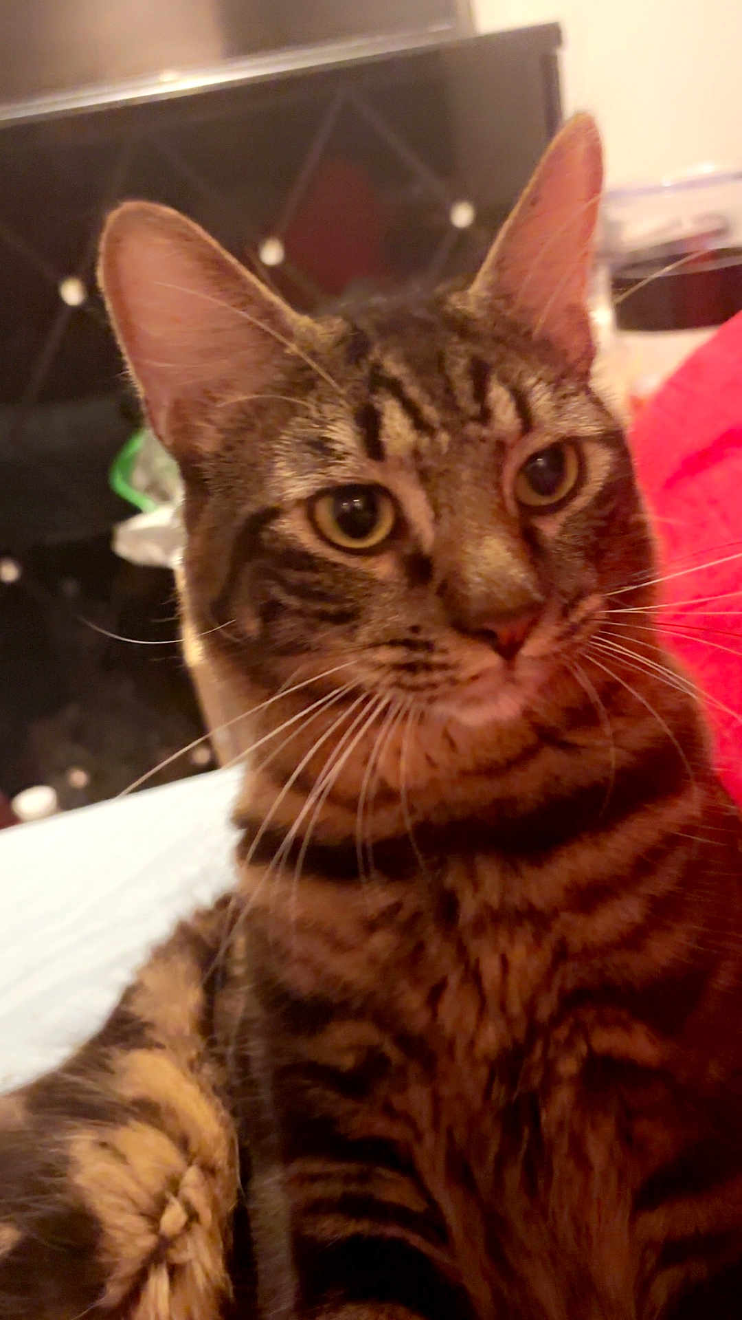 Winnie