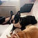 Lola