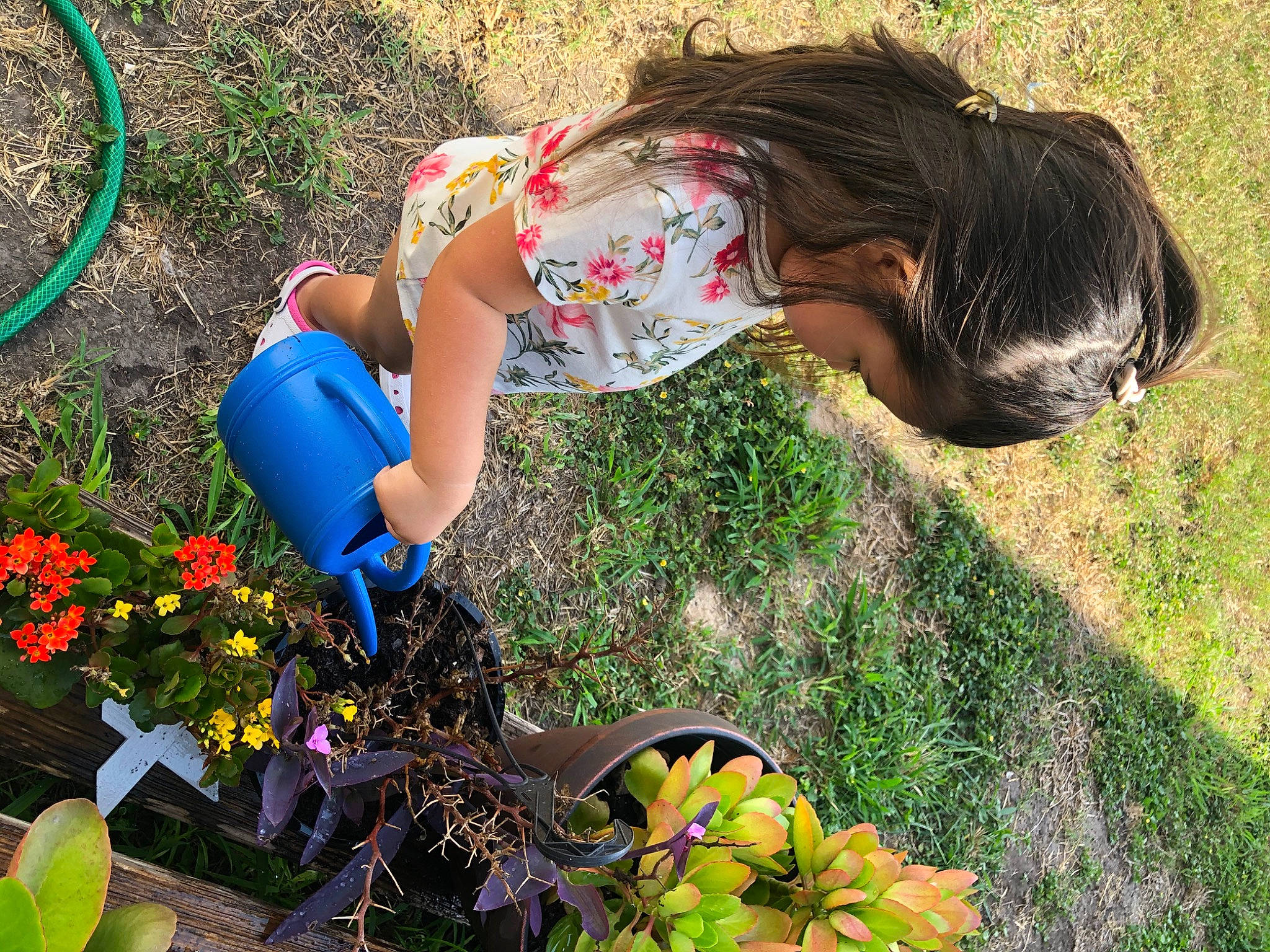Melodie Jayde Leal joined the competition — help win amazing prizes! botany, child, flower, garden, gardening, grass, grass_family, person, plant, play, spring, summer, wildflower