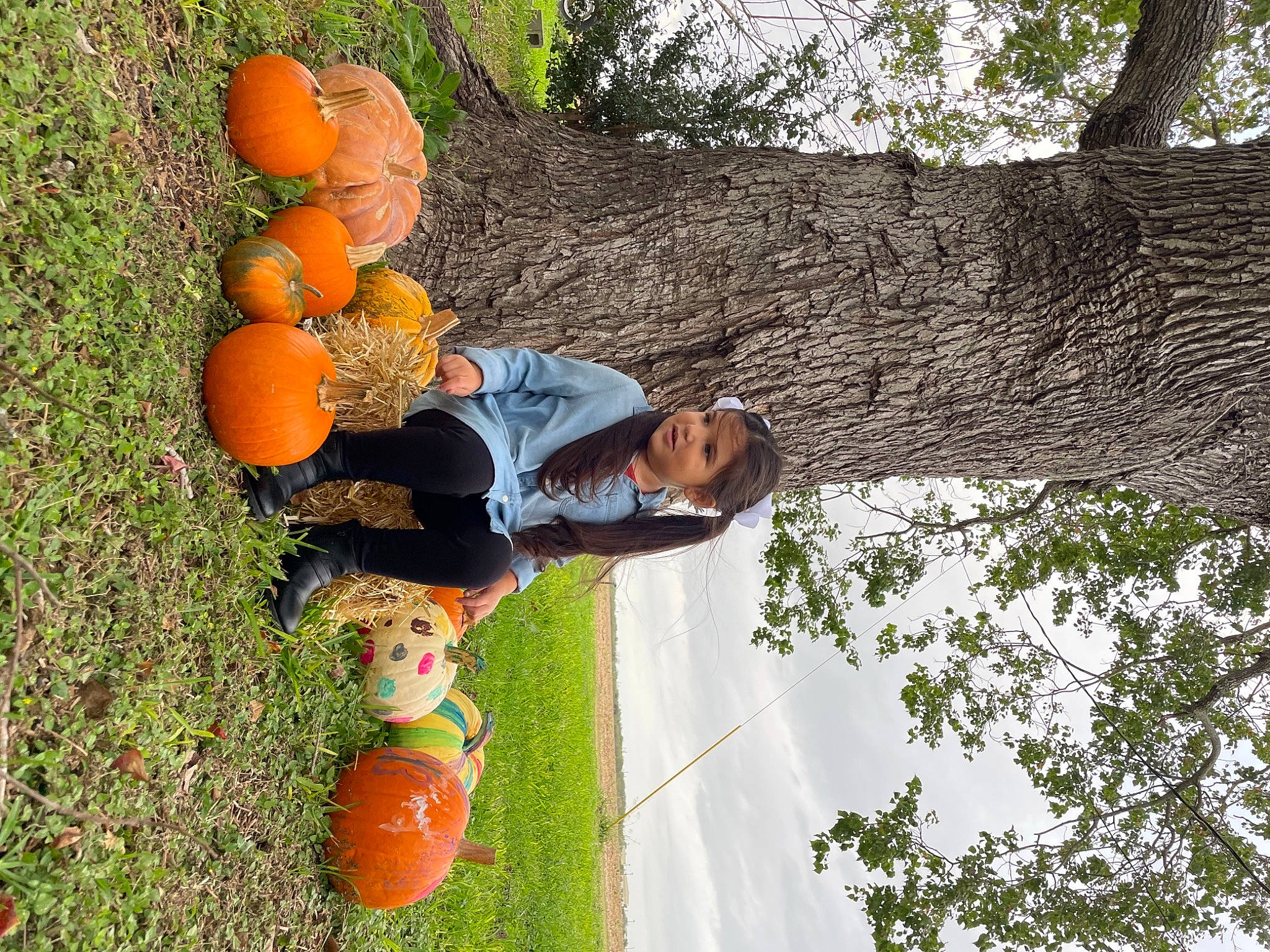 Melodie joined the competition — help win amazing prizes! botany, calabaza, citrus, cucurbita, fruit, fruit_tree, grass, happy, leisure, natural_foods, orange, people_in_nature, person, plant, pumpkin, sky, toy, tree, trunk, valencia_orange