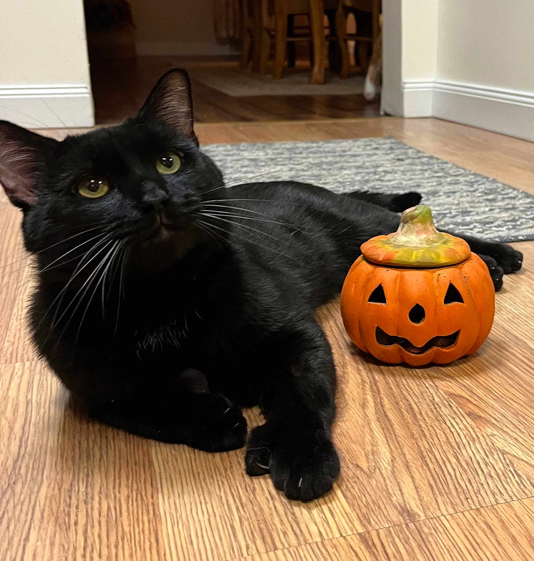Jack