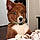 Dottie