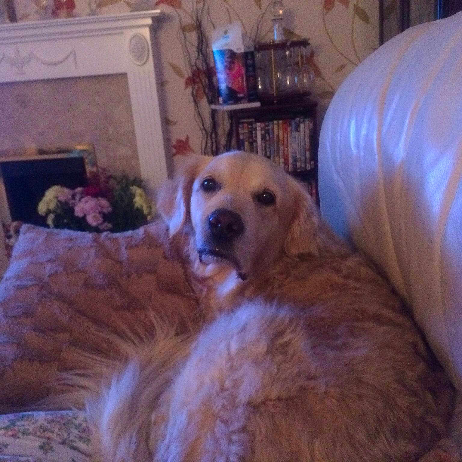 Misty is registered to the contest to win money with this photo: