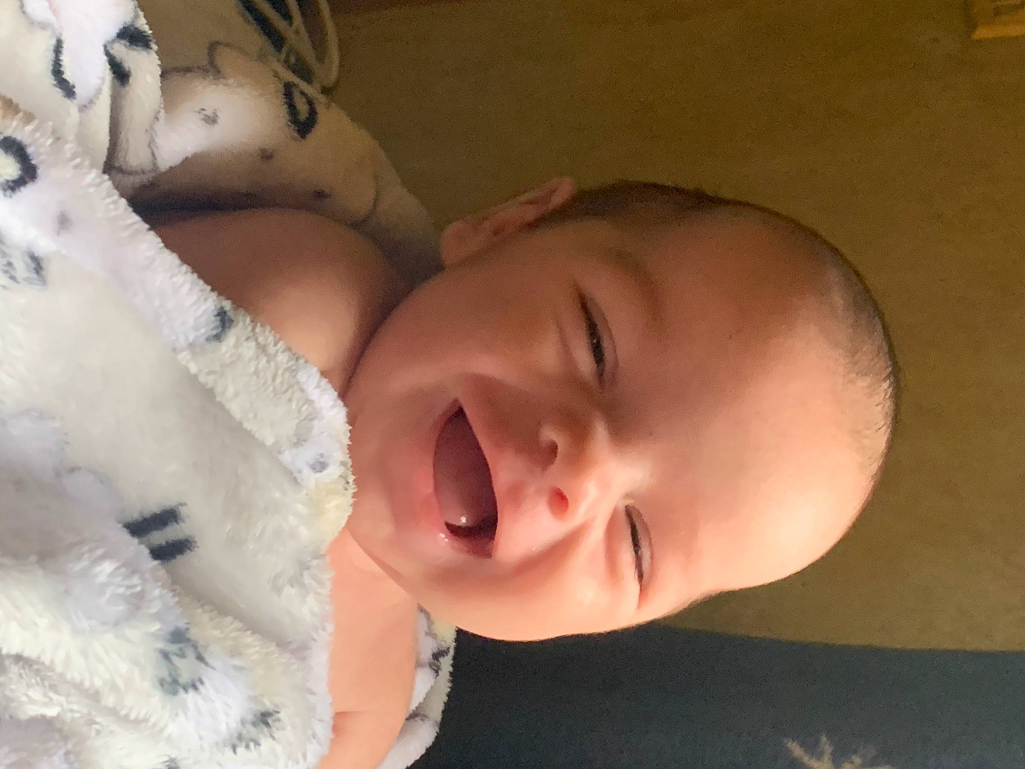 Hudson is registered to the contest to win money with this photo: arm, cheek, ear, eye, eyebrow, eyelash, face, hand, happy, head, iris, jaw, lip, mouth, muscle, neck, nose, person, skin, smile