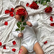 Louis a rejoint le concours — aidez-le/la à gagner de superbes lots ! adorable, baby, bed, cute, flower_stem, green_leaves, hand, infant, kiss_mark, legs, lipstick_mark, lying_down, onesie, portrait, props, red_rose, rose, rose_petals, soft_light, white_sheet