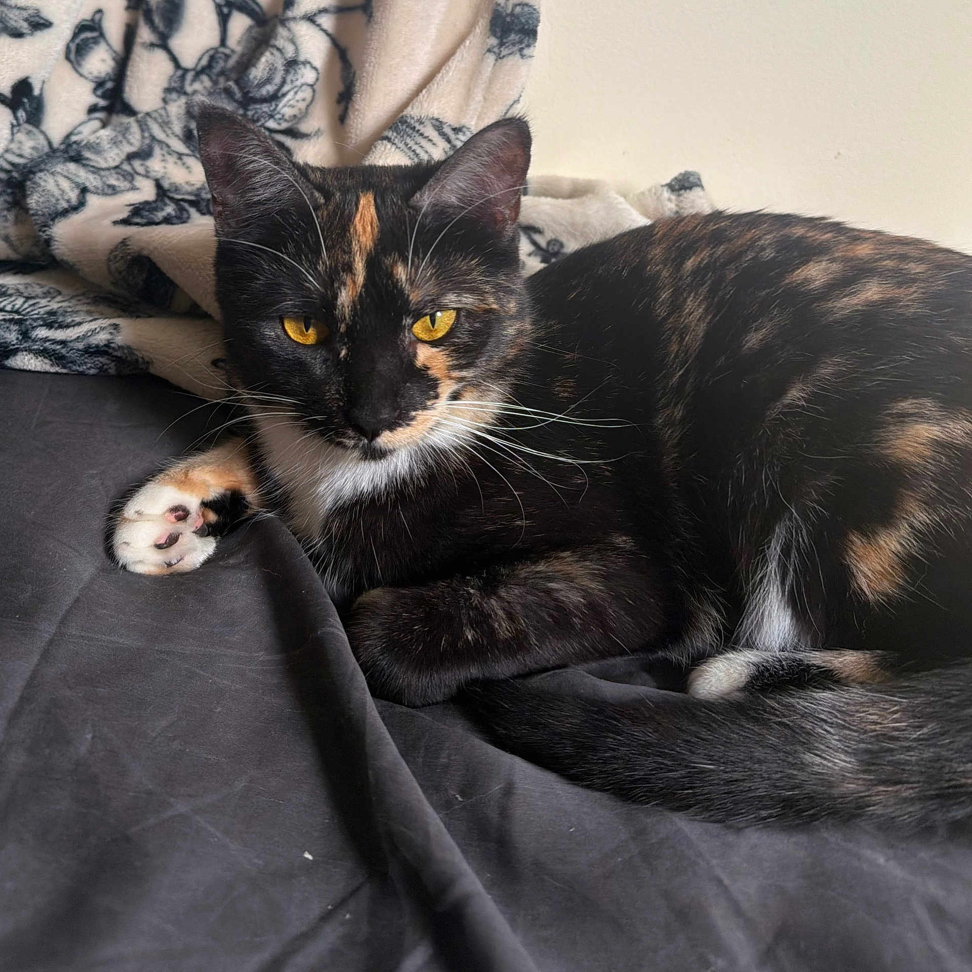 Margo