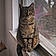 Elsa Of Florida
