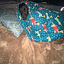 Mazakene is registered to the contest to win money with this photo: animal, baby, bed, blanket, canine, cushion, dog, electronics, face, furniture, head, homedecor, person, pet, photography, portrait, puppy, quilt, remotecontrol, sleeping