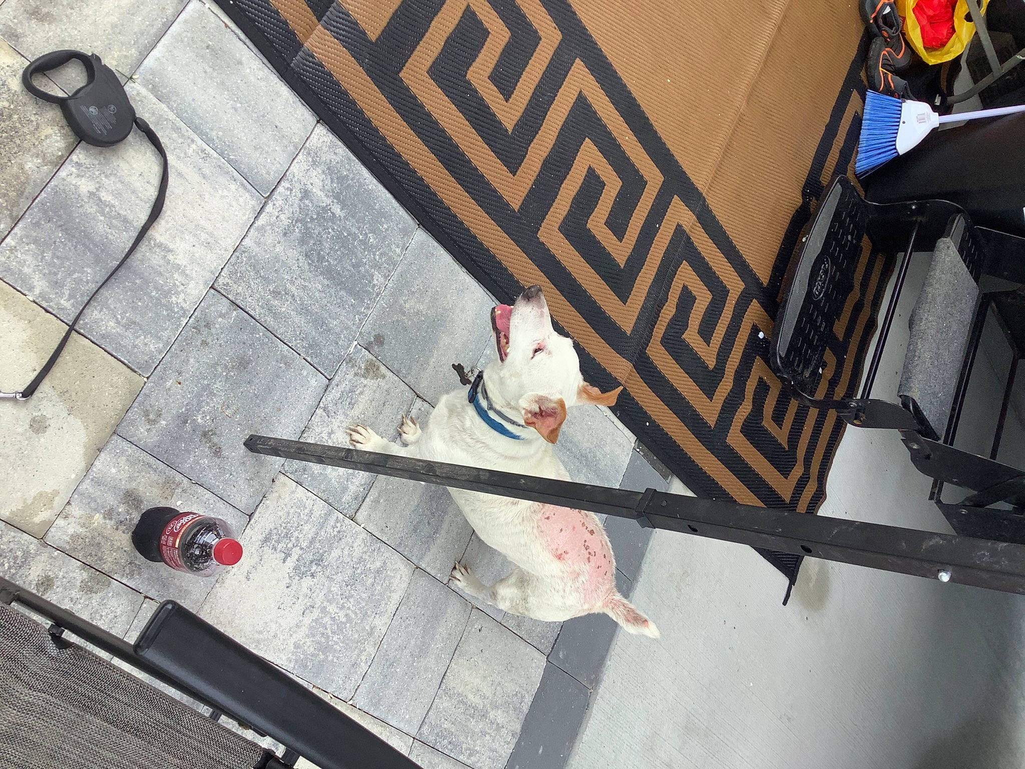 Shorty is registered to the contest to win money with this photo: art, asphalt, carmine, city, concrete, eyewear, flooring, font, metal, pedestrian, recreation, road, road_surface, shadow, sidewalk, street, town, wall, wing, wood