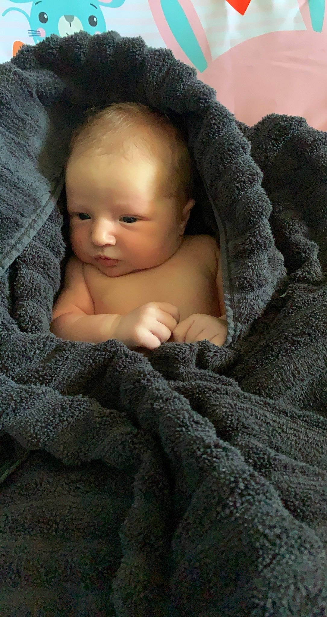 Everly is registered to the contest to win money with this photo: baby, baby_sleeping, blanket, cheek, child, comfort, eye, eyebrow, flash_photography, fur, grey, iris, knitting, linens, person, portrait_photography, sitting, skin, toddler, wool