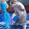 Mimikyu joined the competition — help win amazing prizes! bed, blue, cat, colorful, curious, feathers, feline, fish_toy, fur, home, indoor, kitten, paws, pet, playful, striped, striped_bedspread, toy, whiskers, young_cat