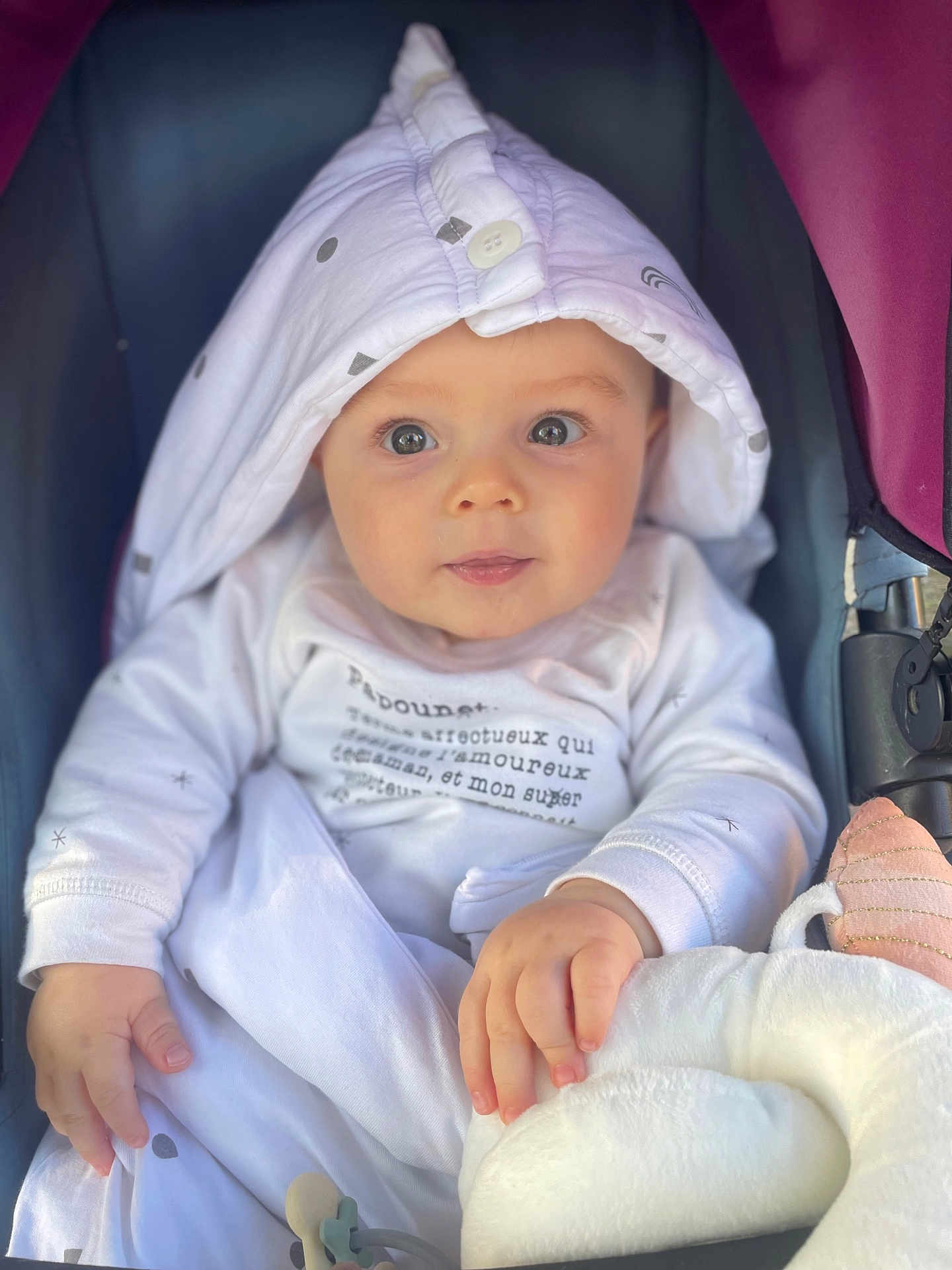 Noa participe au concours pour gagner de l'argent avec cette photo : baby, child, hooded_clothing, white_clothing, stroller, plush_toy, hand, face, portrait, infant, cute, sitting, indoors, soft_toy, comfort, young_child, expression, looking_at_camera, closeup, casual_wear