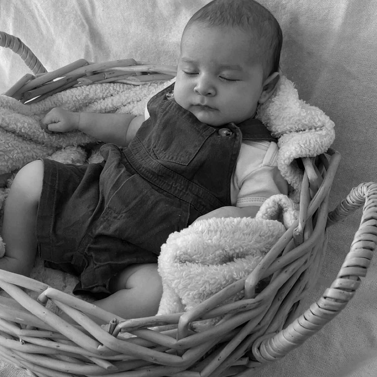 Lakota joined the competition — help win amazing prizes! baby, basket, bed, blanket, clothing, coat, cradle, crib, face, furniture, happy, head, infantbed, jacket, newborn, person, photography, portrait, sleeping, smile