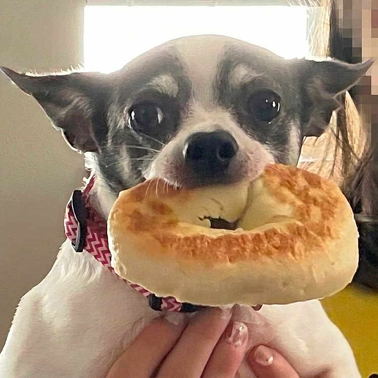 Matilda