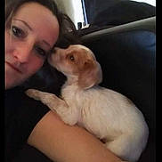 Tina a rejoint le concours — aidez-le/la à gagner de superbes lots ! affection, arm, black_clothing, casual, closeup, comfort, couch, cute, dog, face, home, indoor, licking, love, person, pet, puppy, relaxation, small_dog, woman