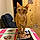 Toby