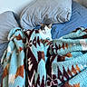 cat, blanket, bed, pillow, indoor, cozy, patterned_blanket, blue_sheets, gray_pillow, resting, sleepy, fur, animal, pet, domestic, comfort, relaxation, soft_texture, warm, snug
