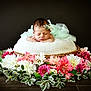 newborn, baby, sleeping, flower_crown, tutu, basket, cushion, flowers, floral_arrangement, greenery, headband, portrait, indoor, dark_background, soft_lighting, peaceful, cute, infant, wooden_floor, decorative