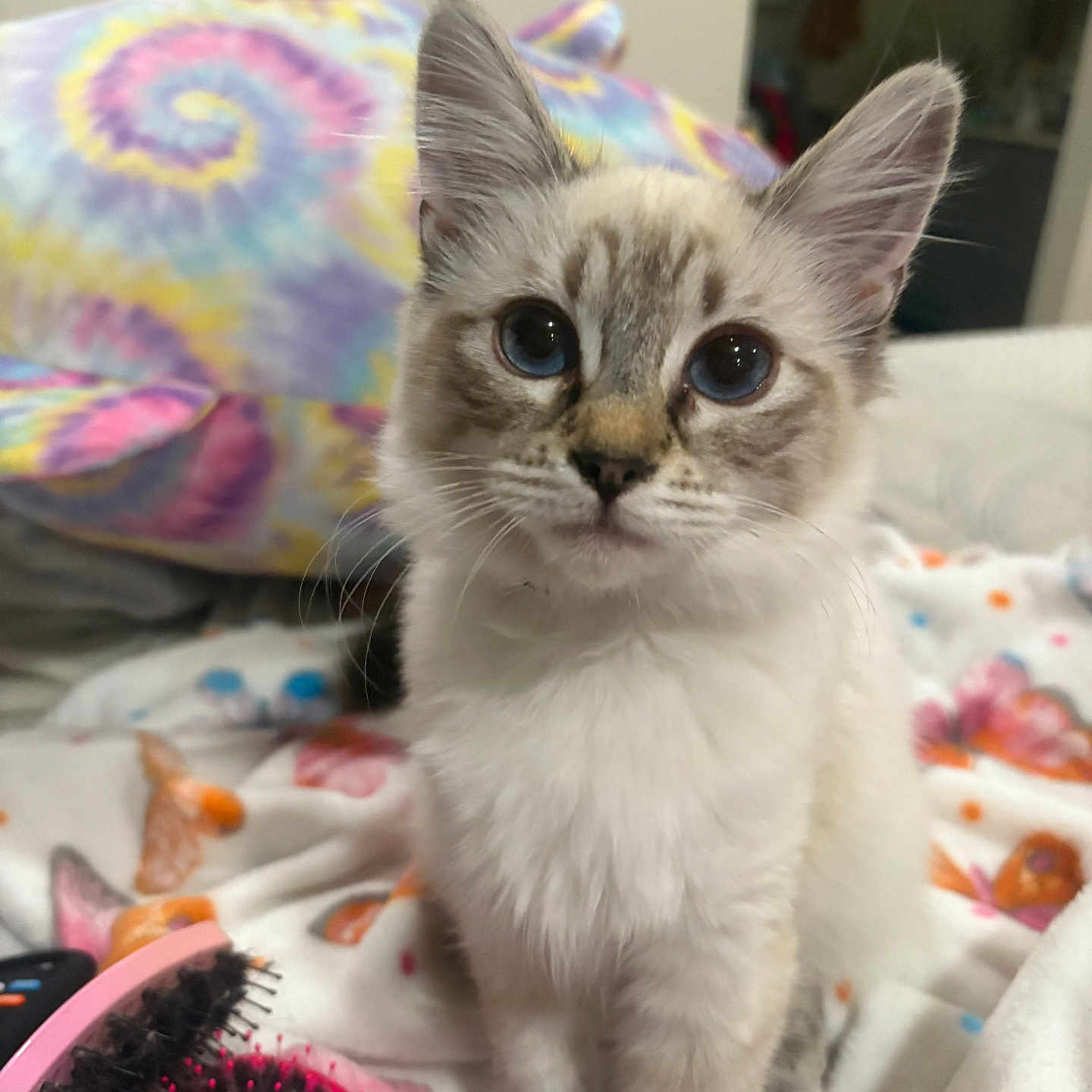 Luna