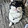 Sylvester