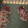 newborn, baby, twin_babies, sleeping, crib, nursery, pajamas, pumpkin_pattern, orange, stuffed_animal, dinosaur_toy, blanket, mattress, crib_rail, indoor, infant, resting, portrait, siblings, cozy