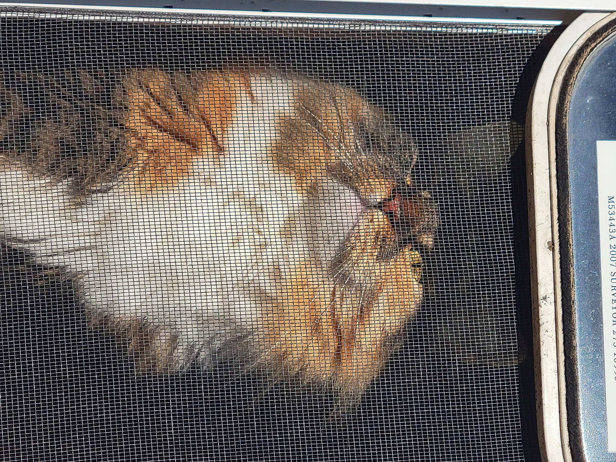 Mama joined the competition — help win amazing prizes! art, auto_part, automotive_exterior, automotive_lighting, felidae, flooring, font, gas, grille, hood, ingredient, mammal, mesh, metal, net, pattern, pet_supply, rectangle, whiskers, wood