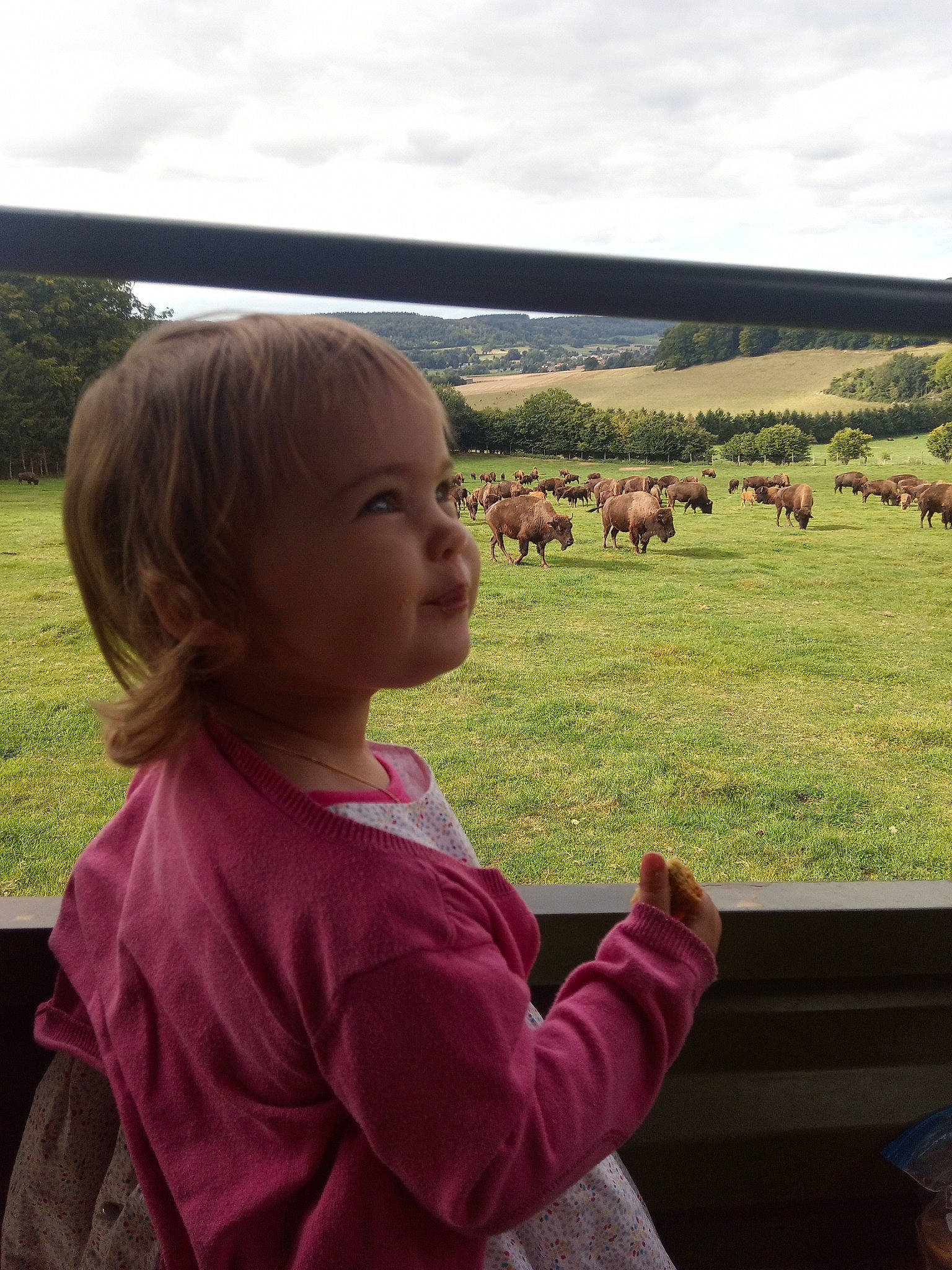 Victoire participe au concours pour gagner de l'argent avec cette photo : cloud, grass, grass_family, grassland, grazing, happy, landscape, leaf, leisure, livestock, mammal, person, plant, prairie, sitting, sky, toddler, travel, tree, vertebrate