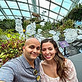 Orlando N. J. B.