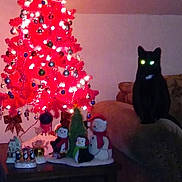 Pedro is registered to the contest to win money with this photo: black_cat, christmas_tree, red_tree, ornaments, lights, couch, table, penguin_decorations, snowman_decorations, holiday_decor, indoor, festive, glowing_eyes, dark, shadow, wooden_table, living_room, holiday_season, decorations, pets