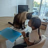 Simba participe au concours pour gagner de l'argent avec cette photo : cat, siamese_cat, child, girl, person, face, home, indoors, table, chair, homework, books, folder, studying, schoolwork, balcony, window, daylight, sitting, pet