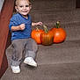 autumn, blue_shirt, carpet, casual_clothing, child, cute, gray_pants, happy, home, indoor, person, portrait, pumpkin, seasonal, sitting, smiling, stairs, toddler, white_shoes, young_child