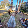 Jade is registered to the contest to win money with this photo: child, muddy_hands, barefoot, dress, outdoor, trees, fire_pit, grass, leaves, house, sunny, smiling, tongue_out, playful, nature, daylight, barefoot_child, dirt, happy, yard