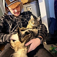 Moose is registered to the contest to win money with this photo: man, cat, indoor, plaid_jacket, hat, cap, tabby_cat, fluffy_cat, holding, sitting, casual, facial_hair, watch, cardboard_box, clutter, container, carpet, relaxed, pet, cozy