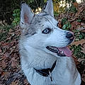 Estelle M.