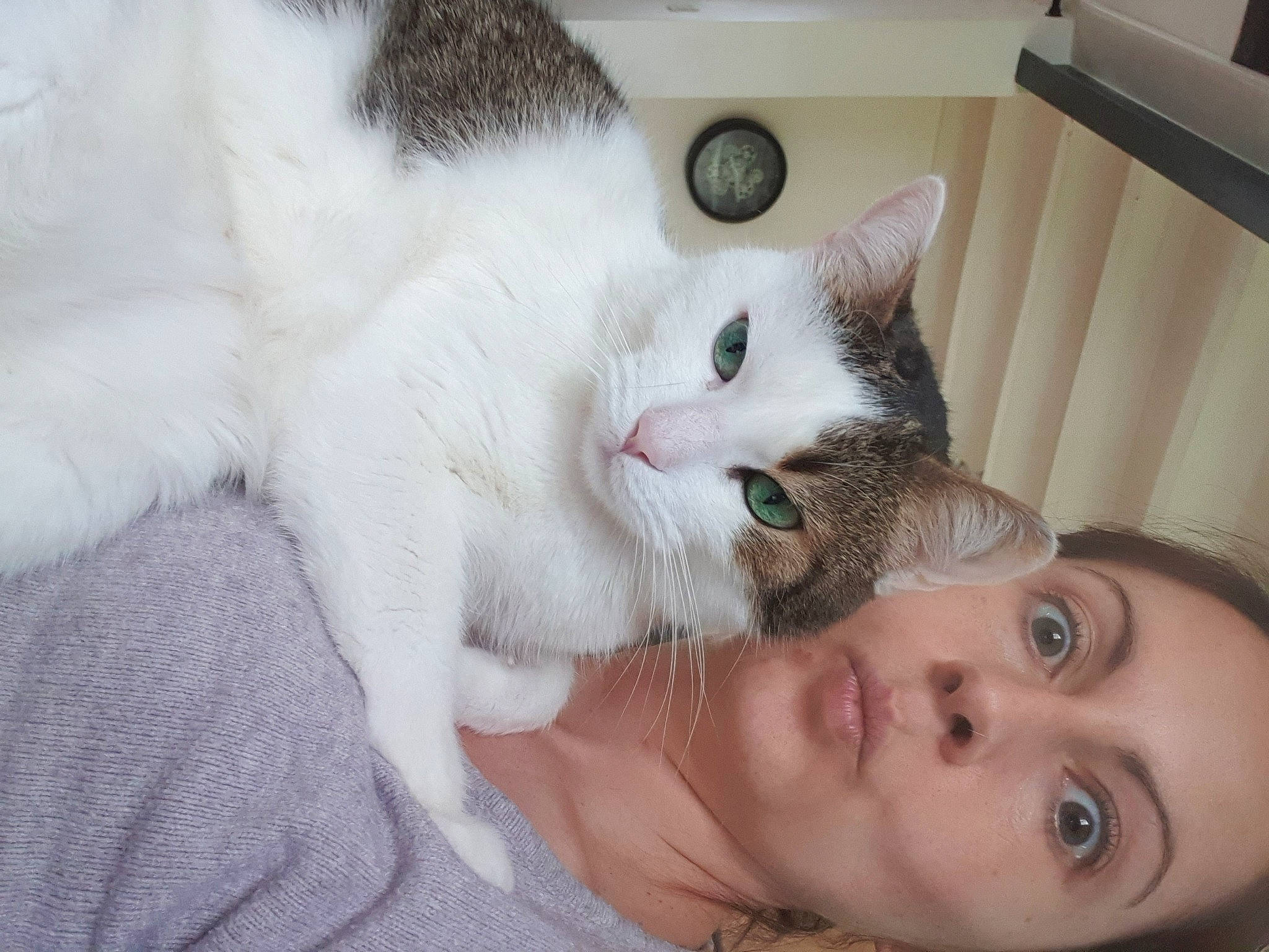 Lucky participe au concours pour gagner de l'argent avec cette photo : carnivore, cat, claw, comfort, domestic_short_haired_cat, ear, eyebrow, eyelash, felidae, fur, gesture, iris, nap, nose, paw, small_to_medium_sized_cats, smile, snout, tail, whiskers