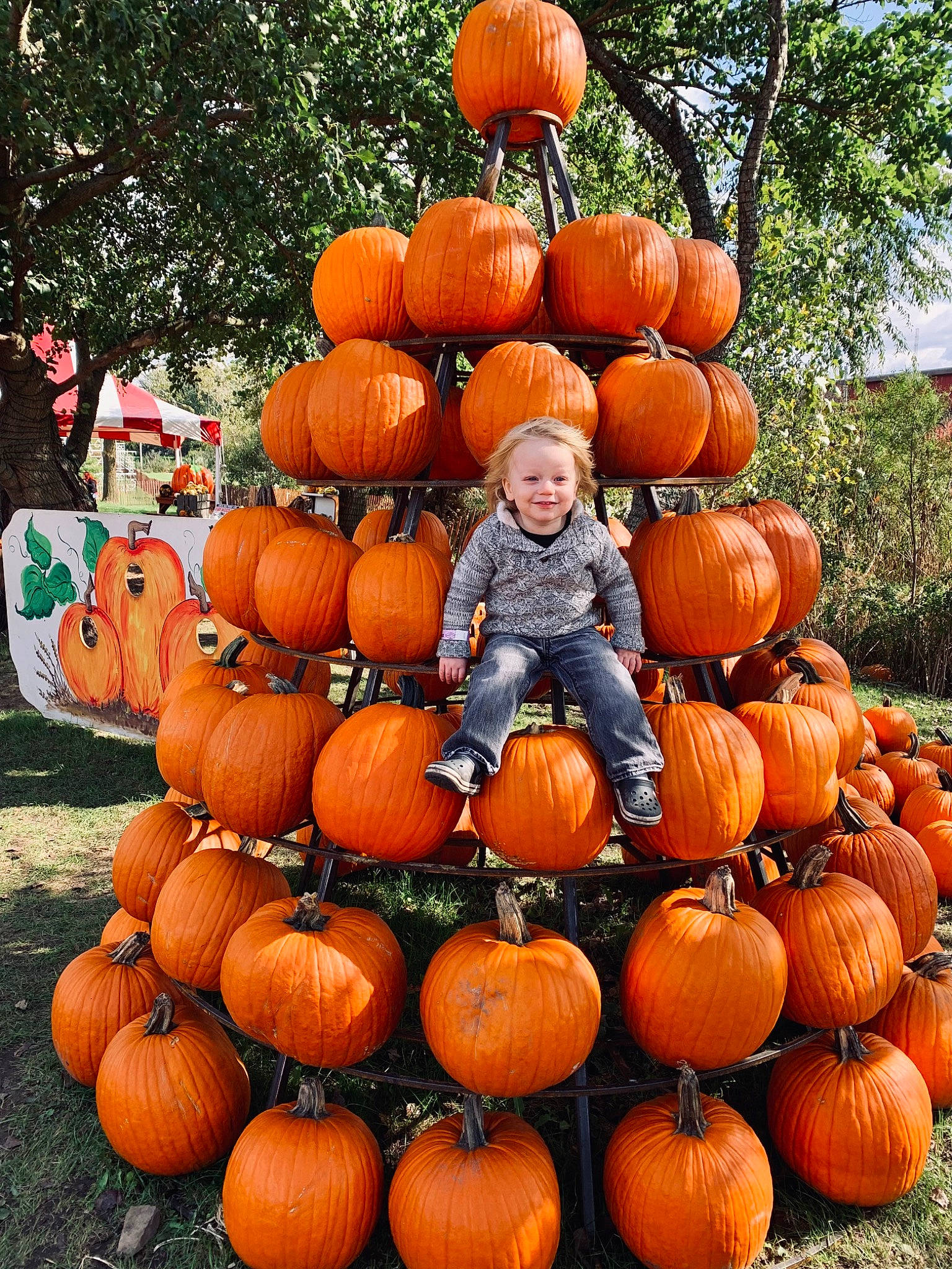 Gatsby is registered to the contest to win money with this photo: _and_melon_family, _gourd, art, calabaza, cucumber, cucurbita, food, gourd, grass, joy, local_food, natural_foods, person, plant, produce, pumpkin, smile, squash, tradition, tree