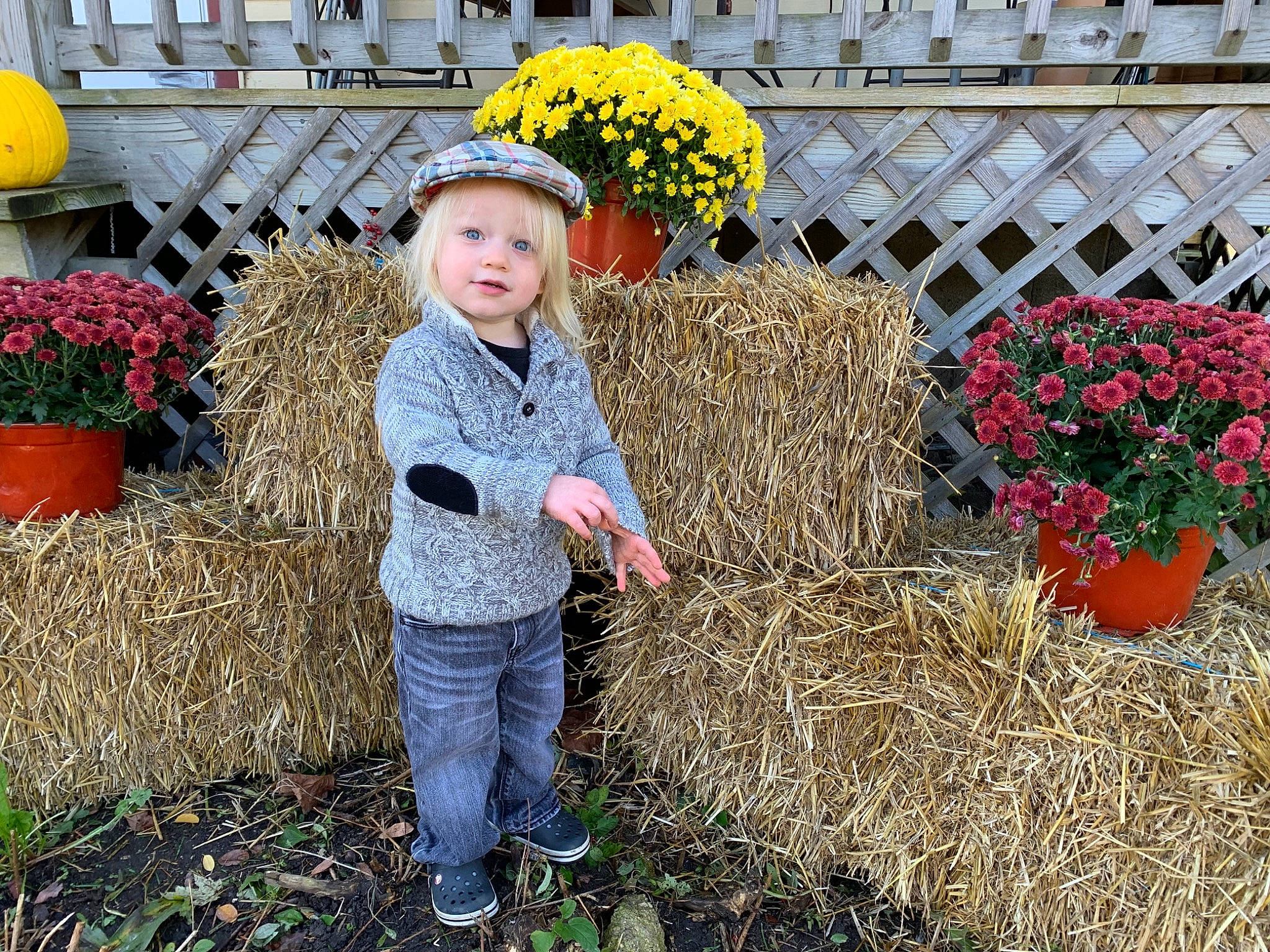 Gatsby joined the competition — help win amazing prizes! annual_plant, child, flower, flower_arranging, flowerpot, fun, garden, grass, hat, headwear, houseplant, landscaping, lawn_ornament, leisure, people_in_nature, person, plant, pumpkin, shrub, soil