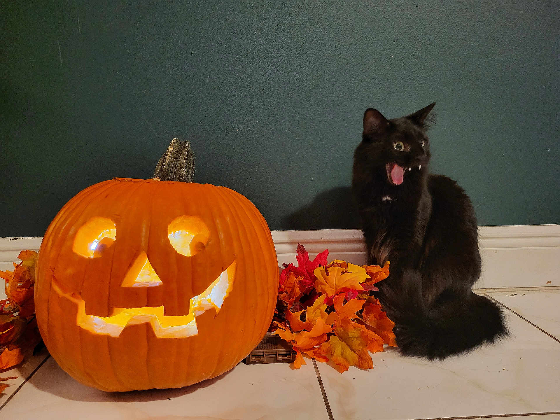 Salem