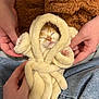Milo joined the competition — help win amazing prizes! kitten, cat, sleeping, fluffy, robe, hands, cozy, cute, soft, orange, white, paws, wrapped, comfort, indoor, pet, animal, closeup, warm, resting
