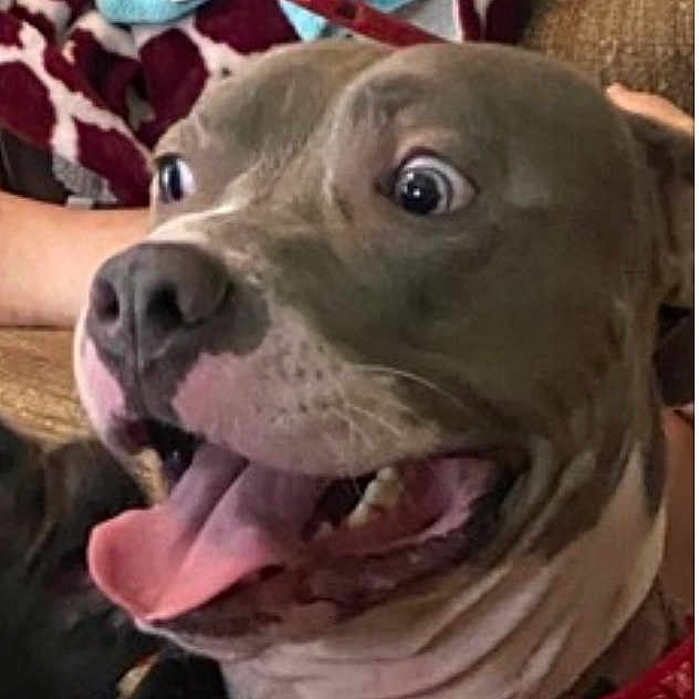 Kilo